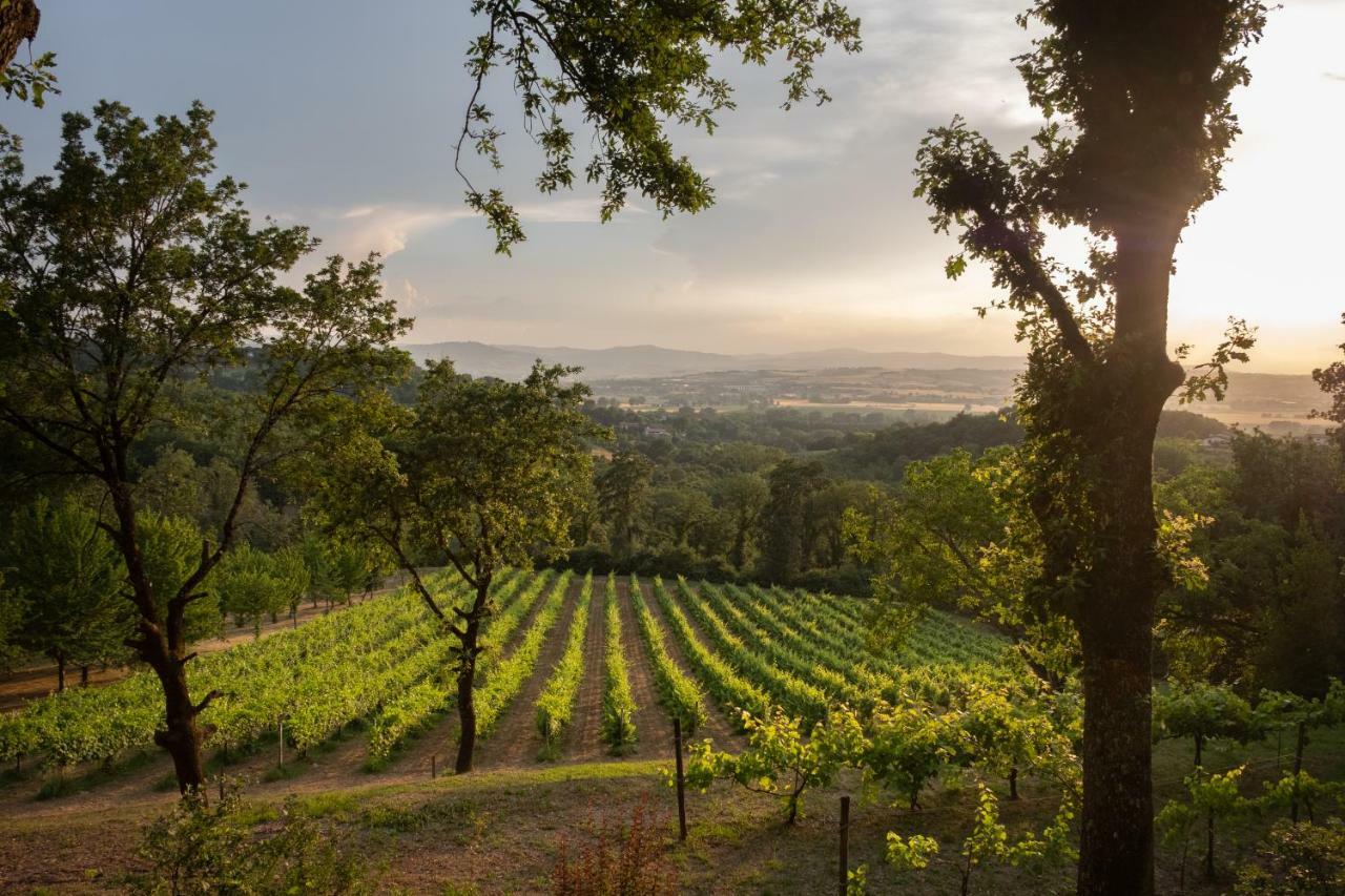 Agriturismo Le Cerque Collazzone Экстерьер фото